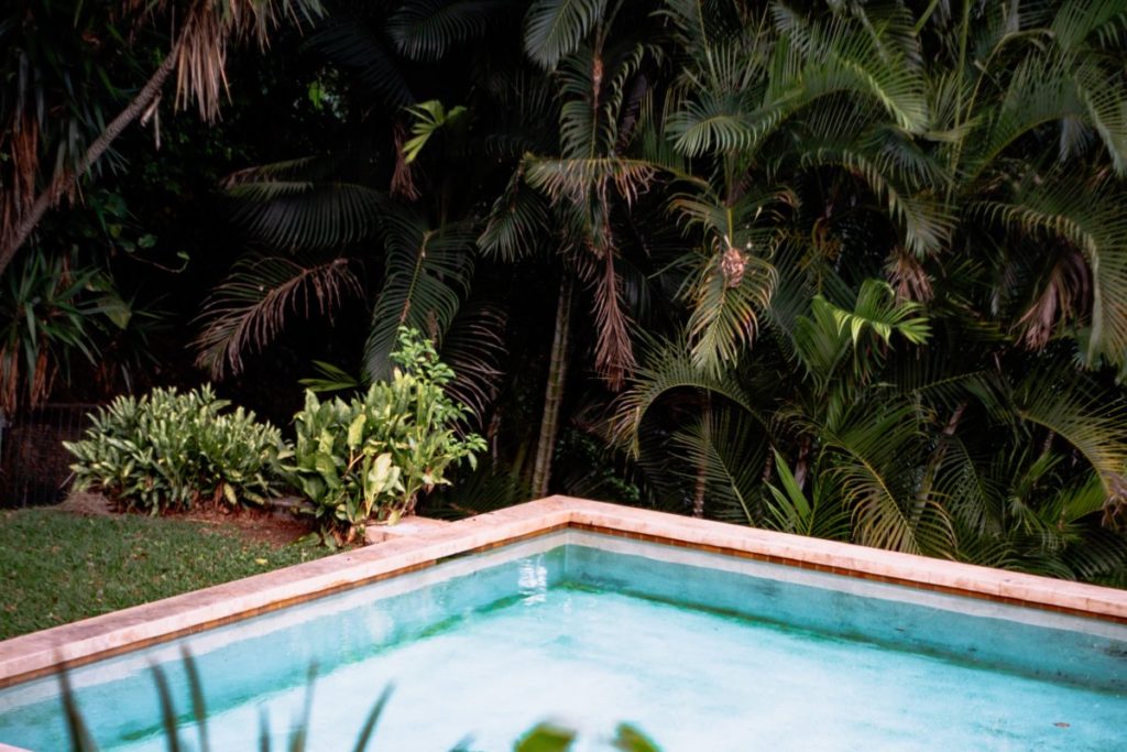 piante-sempreverdi-piscina